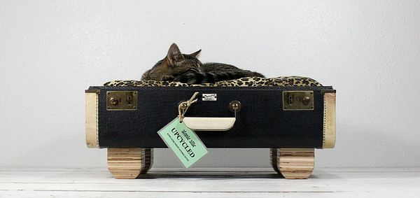 легло за котка с леопардова възглавница